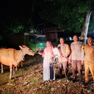 Polsek Lunyuk Kembalikan Sapi dan Barang Bukti kepada Pemilik Sah 
