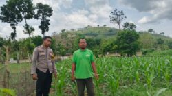 Bhabinkamtibmas Desa Banggo Laksanakan Pemetaan Lahan Pertanian untuk Persiapan Pola Tanam Kuartal ke-3 Tahun 2025