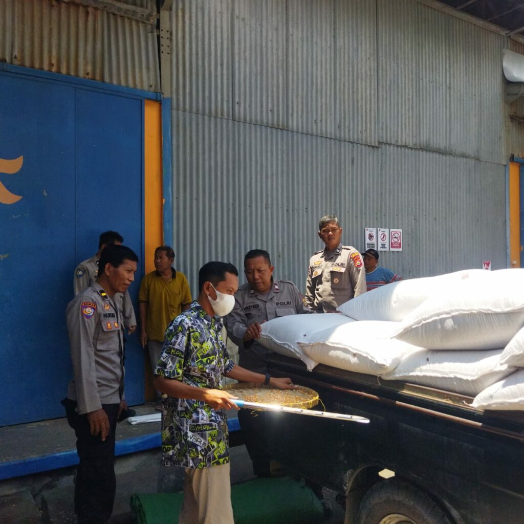 Distribusi 1 Ton Jagung Petani Lombok Barat Berjalan Aman dan Transparan