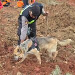Polri Kerahkan Anjing Pelacak dalam Pencarian Korban Longsor Cilacap