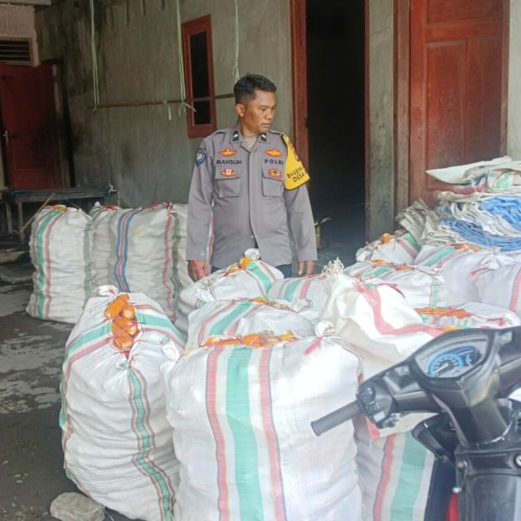 Sinergi Polri–Petani di Beleka: Kualitas Jagung Dijaga Ketat untuk BULOG