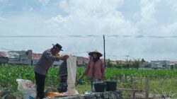 Dukung Program Pusat, Bhabinkamtibmas Labuapi Edukasi Warga Soal Ketahanan Pangan