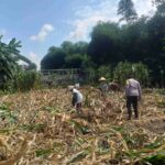 Polisi Dorong Petani Lombok Barat Perkuat Ketahanan Pangan