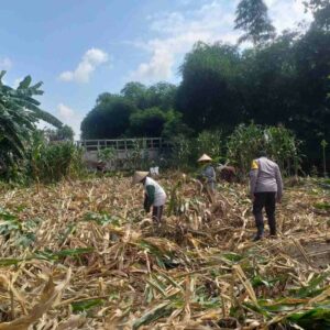 Polisi Dorong Petani Lombok Barat Perkuat Ketahanan Pangan