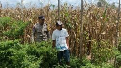 Bhabinkamtibmas Gerung Dorong Warga Manfaatkan Lahan Kosong