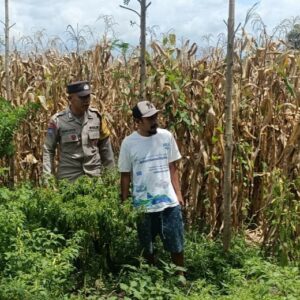 Bhabinkamtibmas Gerung Dorong Warga Manfaatkan Lahan Kosong