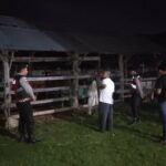 Polsek Sekotong Gencarkan KRYD, Kandang Sapi Jadi Prioritas Patroli Dini Hari