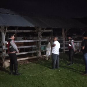 Polsek Sekotong Gencarkan KRYD, Kandang Sapi Jadi Prioritas Patroli Dini Hari