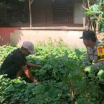 Bhabinkamtibmas Desa Mantun Dampingi Warga Kelola Pekarangan Pangan Bergizi, Dorong Kemandirian Pangan Masyarakat