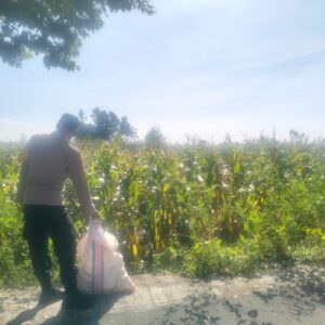 Sinergi Polri dan Petani Lelede: Panen Jagung Lancar Tanpa Kendala