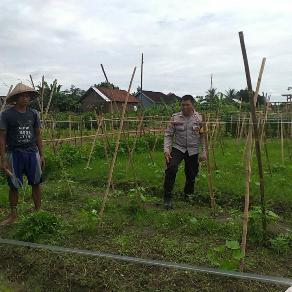Bhabinkamtibmas Jagaraga Ajak Petani Mandiri Pangan di Lombok Barat