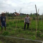 Bhabinkamtibmas Jagaraga Ajak Petani Mandiri Pangan di Lombok Barat