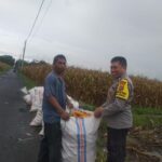 Ketahanan Pangan Lombok Barat: Peran Polsek Kuripan dan Petani