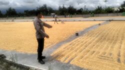 Sinergi Polri dan Bulog Jamin Harga Jual Jagung Petani Lombok Barat