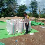 BHABINKAMTIBMAS DESA WOKO PANTAU AKTIVITAS WARGA BINAAN SAAT MENJUAL HASIL PANEN JAGUNG