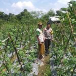 Bhabinkamtibmas Lombok Barat Dorong Warga Manfaatkan Pekarangan Jadi Lumbung Pangan