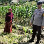 Polsek Labuapi Ubah Pekarangan Jadi ‘Lumbung Hidup’ Warga