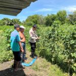 perkuat kolaborasi demi terwujudnya ketahanan pangan