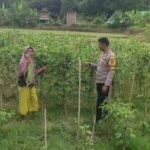 BHABINKAMTIBMAS DESA MANEMENG LAKUKAN PENDAMPINGAN PENGELOLAAN PEKARANGAN PANGAN BERGIZI