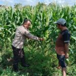 Bhabinkamtibmas Labuapi Dorong Warga Lombok Barat Tanam Mandiri