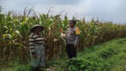 Bhabinkamtibmas dan Kades Sinergi Kuatkan Ketahanan Pangan Desa