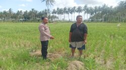 Bhabinkamtibmas Gerung Ajak Warga Manfaatkan Lahan Kosong