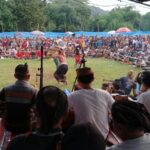 Lombok Barat: Final Peresean Tarung Pepadu Sukses Pukau Ratusan Penonton