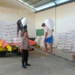 Jagung Petani Lombok Barat Lolos Uji Kualitas BULOG: Kadar Air Ideal