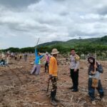 BHABINKAMTIBMAS DESA HU’U LAKUKAN PEMANTAUAN LAHAN JAGUNG, DUKUNG PROGRAM KETAHANAN PANGAN NASIONAL