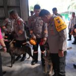 Polda Sumut Kerahkan Unit K9 untuk Percepat Pencarian Korban Banjir Bandang dan Longsor di Tapteng–Sibolga