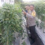 Sinergi Polri-Dinas Pertanian: Kunci Peningkatan SDM Petani Lombok Barat