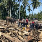 Sinergi Polri dan BKSDA : Gajah Dikerahkan Bersihkan Material Banjir di Pidie Jaya
