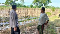 Dukung Program Pangan, Polres Lombok Barat Dorong Warga Bertani Mandiri