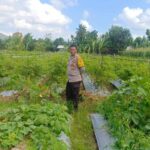 Polsek Gerung Ajak Warga Beleke Garap Lahan Tidur